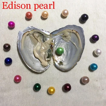 Livrare gratuita Mare 9-12mm Edison Pearl Mix Dimensiunea de Stridii cu Perle Rotunde Mari Perle din Scoici Colorate Edison Perle Stridii