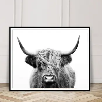 Camera De Zi Decor Simplu Nordic Decor La Modă Arta De Perete Alb Și Negru Highland Vaca Arta Panza De Imprimare Și Poster