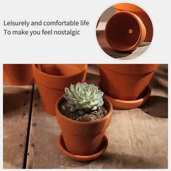 Mai Multe Culori Cactus Oală Suculente Ghivece Mici Mini Lut Ceramică Plantat Flori Vas De Teracota Decor Acasă