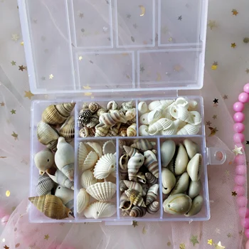 1box 100buc Naturale Spirală gaură Shell Pentru a Meserii DIY Bijuterii Handmade Farmece Scoici Decor Acasă Face Bratara găuri