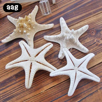 10buc 5-8cm naturale steaua de mare Stil Mediteranean DIY Artificiale stea de mare coajă Petrecere de Nunta decor acasă obiecte de artizanat alb