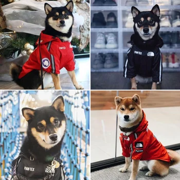 Iarna câine de companie haine jacheta windproof impermeabil de moda de îmbrăcăminte pentru animale de companie pelerina de ploaie bulldog francez pug chihuahua hanorac Ropa Perro