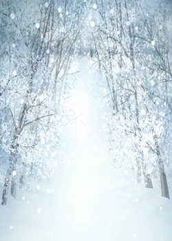 Paste fotografie fundal de zăpadă pădure Bokeh tema de Iarnă Crăciun fundal foto profesionale de fundal studio