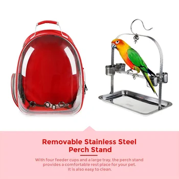 Exterior Din Oțel Inoxidabil De Călătorie Pentru Animale De Companie Închidere Cu Fermoar Rucsac Transparent Gol Găuri Cușcă Papagal Impermeabil Păsări Transport