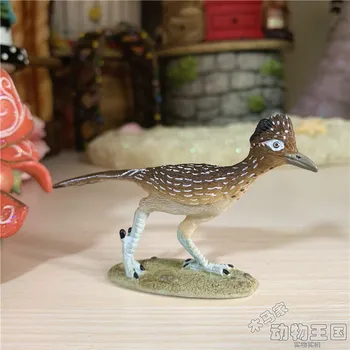 Mici pvc figura model de jucărie Roadrunner pasăre rară