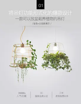 Moderne, creative, verde plantă de ghiveci Pandantiv lumina pentru dormitor, sufragerie agățat lihgt lampa E27 110-240V