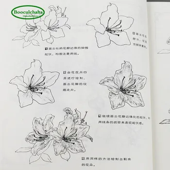 Pictat plante carte: 88 tipuri de negru clasic și alb plante pictat