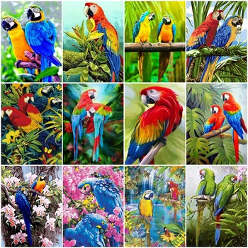 AZQSD Adult Pictură în Ulei De Numere Papagal DIY Unframe de Colorat Cu Numere de Animale de Imagine Pentru Camera de zi de Decorare Acasă