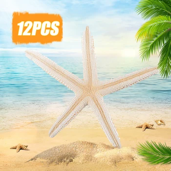 12pcs Alb Natural Degetul steaua de mare Meșteșug Decor Natural Sea Star DIY pentru Beach Cottage Decor Nunta 7-11cm