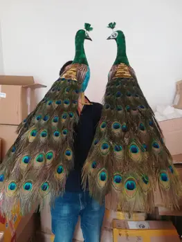 Timp 80cm iubitorii de păuni pasăre frumoasă pene de păuni o pereche model ,prop,grădină acasă decorare cadou p2120