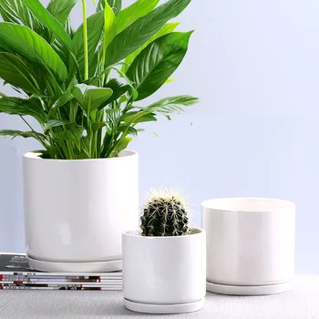 Nordic Ceramice, Ghivece De Flori Matt Culoare Solidă Plante Suculente Vase Desktop Ornamente Decor Acasă