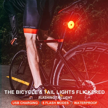 2021 Biciclete Lumina Inteligent de Frânare Automată de Detectare Lumini IPx6 Impermeabil LED de Încărcare Ciclism Stop Bicicleta Spate Lumina