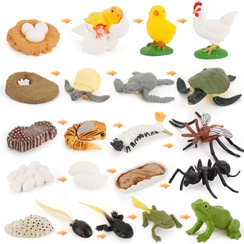 Realiste de Simulare de Viață Mare broasca Testoasa Ciclu de Creștere Figurine Animale Marine broască Țestoasă Model de PVC de Învățământ Drăguț Jucărie pentru Copii