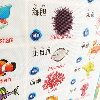 Audio Bilingv Animale Flip-Chart (Față-Verso) În Limba Engleză Și Chineză De Educație Timpurie Perete Graficul 16.5x22In Clasă Consumabile