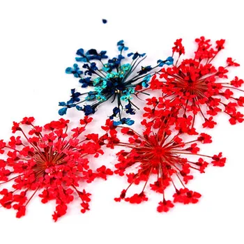 Moda Flori Uscate Epoxidice UV Rășină Pandantiv Colier Bijuterii De Plante Uscate de Luare de Bijuterii de Artizanat DIY Arta Material Decor