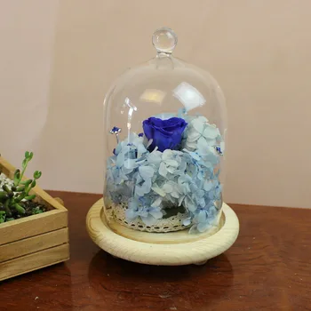 10*19cm Clar Ecran de Sticlă de Dom de Sticlă, Vaze de Flori Uscate Cloche Dom Borcan Bell Display cu Bază de Lemn pentru Cadou de Crăciun