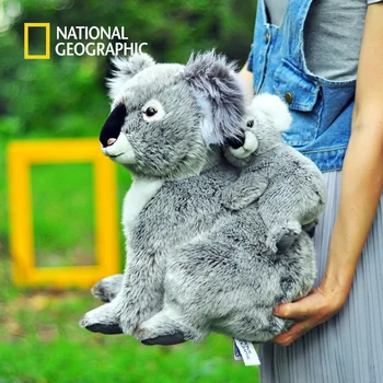 National Geographic Kawaii Koala Jucarii De Plus Pentru Copii Australian Koala Urs De Pluș Umplute Papusa Moale Copii Cadou Minunat Pentru Fata