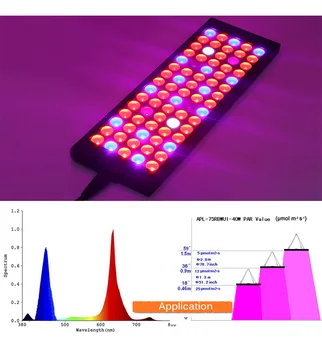 LED-uri Cresc Light Cort Gradina Interioara Hidroponice în Creștere Lampa de 50W întregul Spectru Rosu+Albastru+UV fito lămpi Pentru Plante Cultive cutie