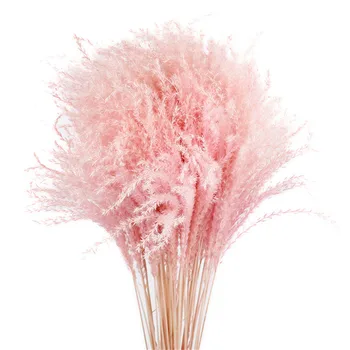 Culori personalizabile Lumina Naturala roz 20buc nunta pampas flori de ziua îndrăgostiților cadou naturale uscate de stuf, buchete de flori Albe