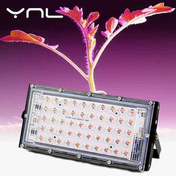 LED-uri Cresc de Lumină întregul Spectru 50W 220V AC Fito Lampa Pentru Plante Cort Flori de Semănat Lampă Interioară în aer liber Led Proiector Crească Cutie